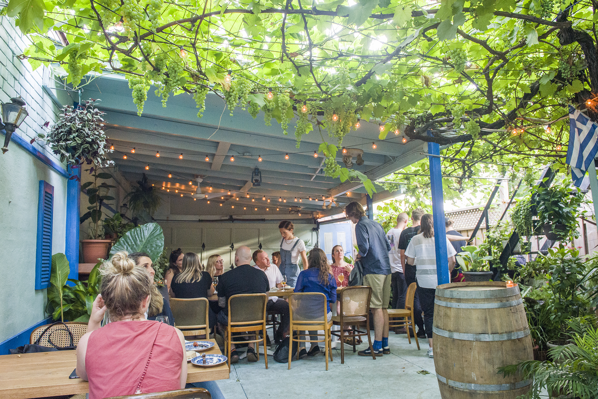 Toronto Patio Guide Paradise Grapevine