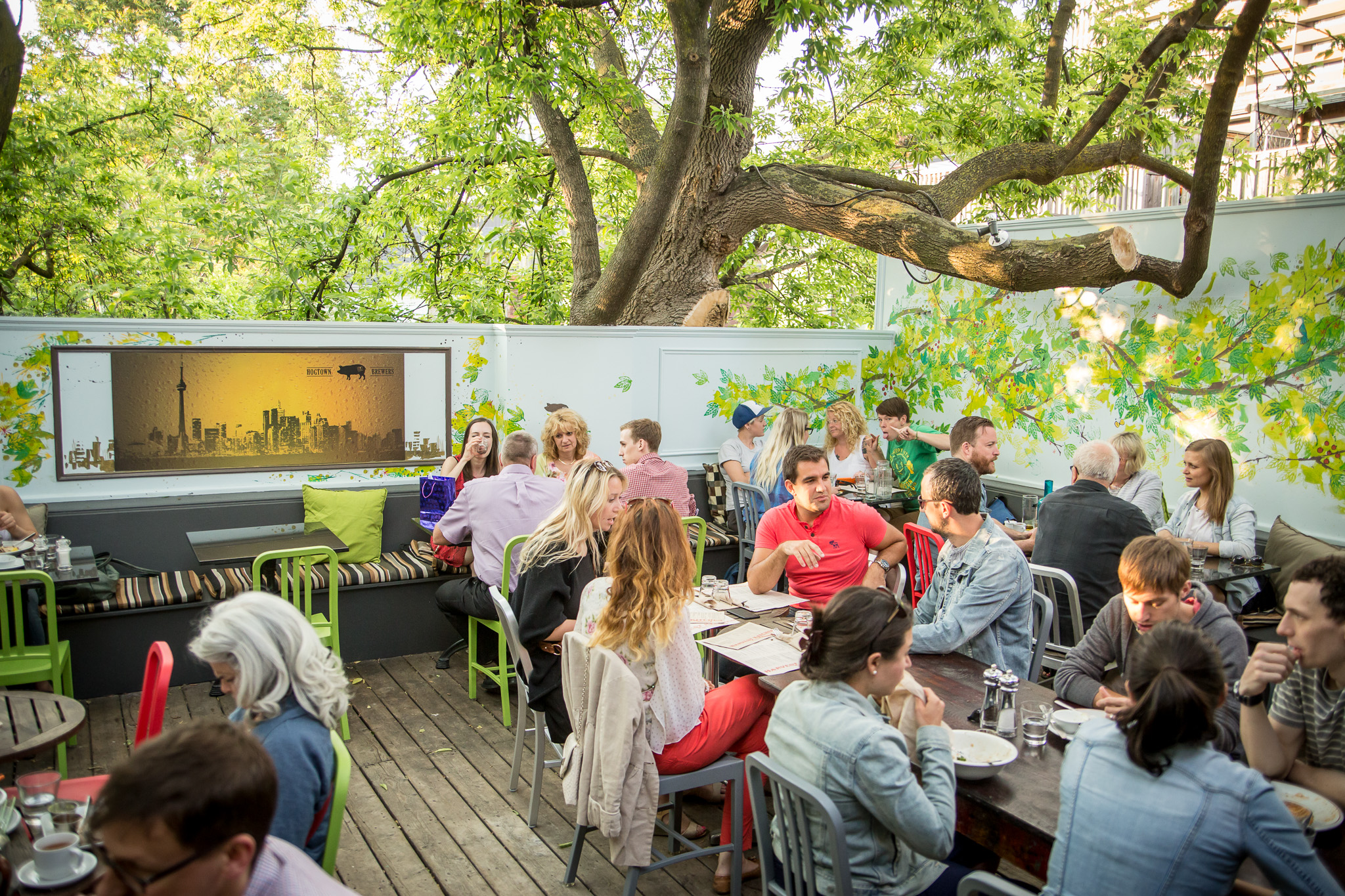 Toronto Patio Guide Harbord House