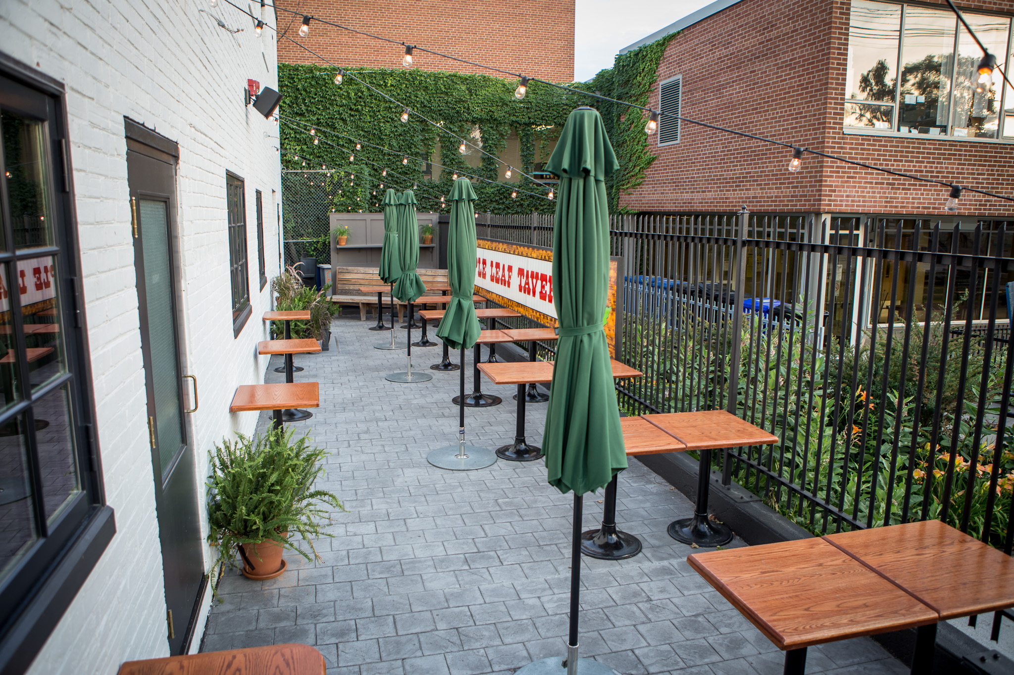 Toronto Patio Guide Maple Leaf Tavern